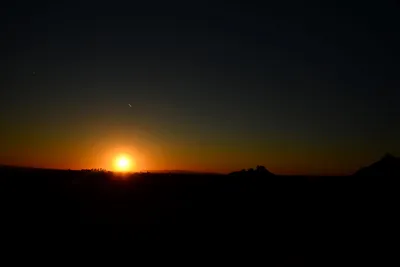 DSC_1459 (Large).JPG